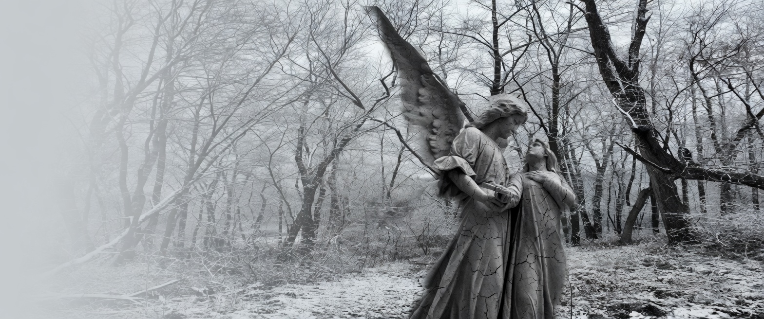 Header Image